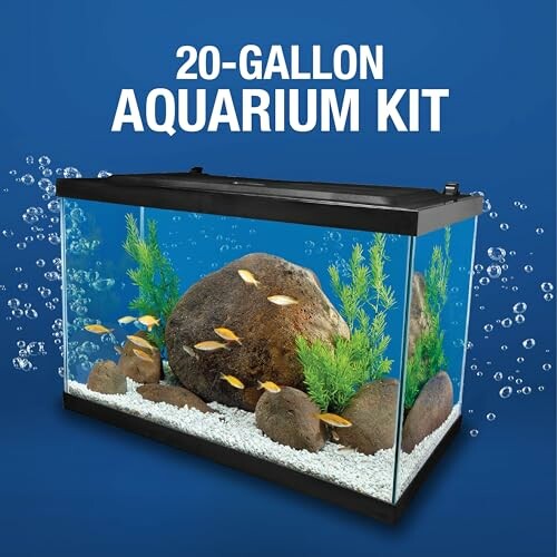 20-gallon aquarium kit with fish and plants