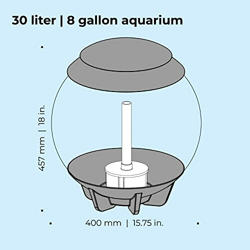 Diagram of a 30 liter, 8 gallon aquarium with dimensions