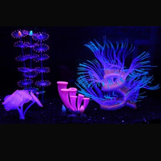 4 Pieces Aquarium Fish Tank Decorations with Glowing Effect package contents