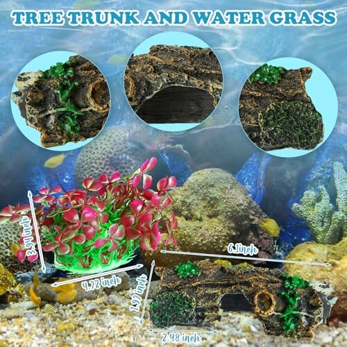 Aquarium decor with tree trunk and water grass featuring dimensions.