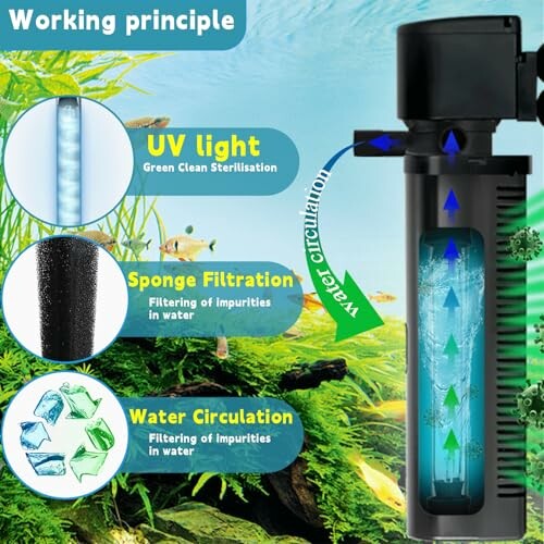 Diagram of aquarium filter showing UV light, sponge filtration, and water circulation.