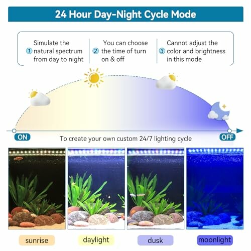 Diagram of 24-hour aquarium lighting cycle with sunrise, daylight, dusk, and moonlight settings.