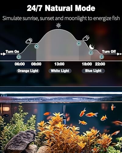 Aquarium lighting schedule diagram with fish tank.