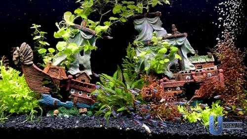 Aquarium with shipwreck decorations and vibrant plants