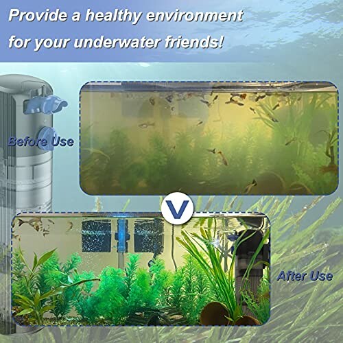 Comparison of aquarium water before and after using a filter.