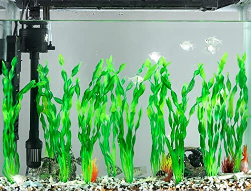 Aquarium with green plants and fish