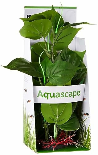 Fluval Anubias Plant