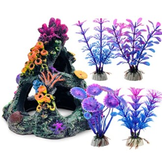 GSD Coral Reef Set