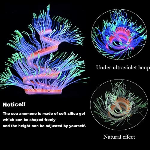 Glowing sea anemone decoration under UV light with natural effect.