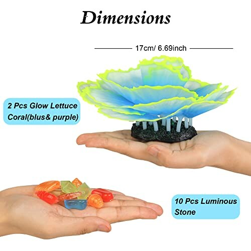 Decorative glow lettuce coral and luminous stones in hands.