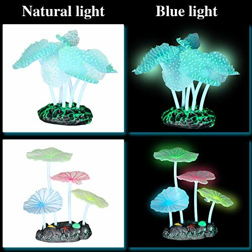 Aquarium decoration with glowing mushroom plants under natural and blue light.