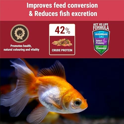 Goldfish with text on feed benefits and crude protein content.