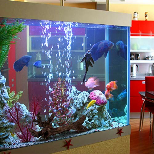 Colorful fish swimming in a home aquarium with plants and rocks.