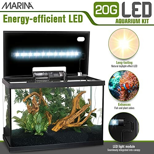 Marina 20G energy-efficient LED aquarium kit with plants and natural daylight-effect LED.