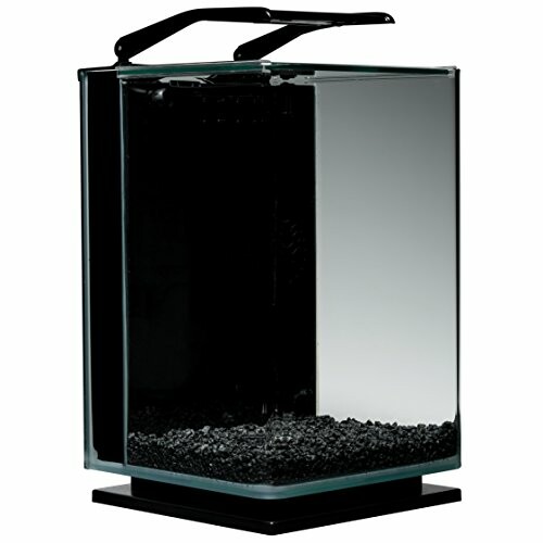 A modern glass aquarium tank with black gravel.