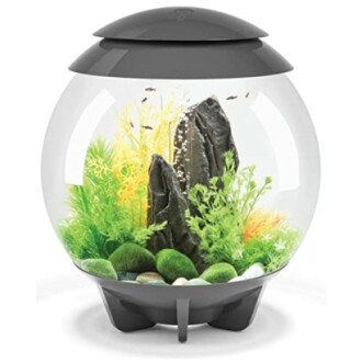 biOrb Halo 15