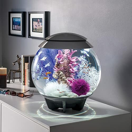Stylish fish bowl with colorful coral and small fish on a white cabinet