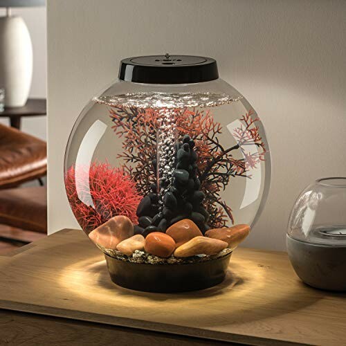 Modern fish bowl aquarium with red coral and stones on a wooden table.