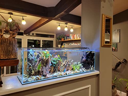 Modern living room with a large aquarium filled with plants and fish.