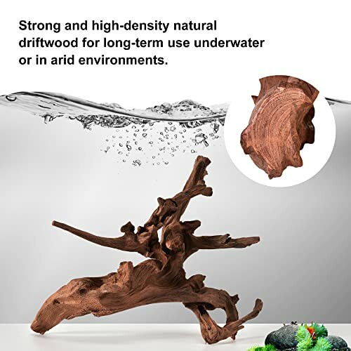 Natural driftwood for underwater or arid environments.