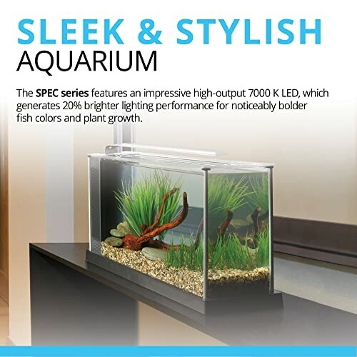 Modern aquarium with LED lighting and lush plants.