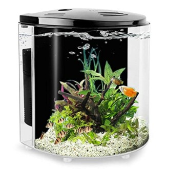 Small Fish Tank 1.2 Gallon