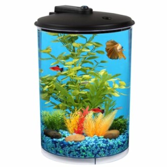 Koller Products 3-Gallon 360 Aquarium