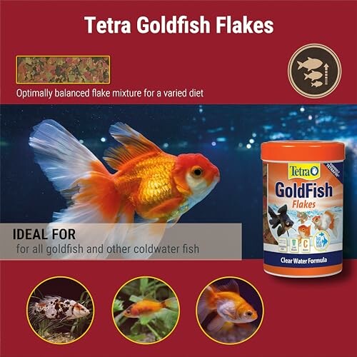 Tetra Goldfish Flakes packaging with fish images.