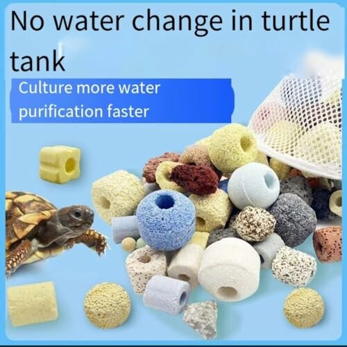 Turtle beside various water purification media